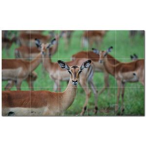 deer ceramic tile wall mural kitchen backsplash bathroom shower p500452