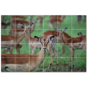 deer ceramic tile wall mural kitchen backsplash bathroom shower p500452