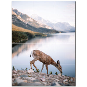 deer ceramic tile wall mural kitchen backsplash bathroom shower p500455