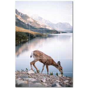 deer ceramic tile wall mural kitchen backsplash bathroom shower p500455