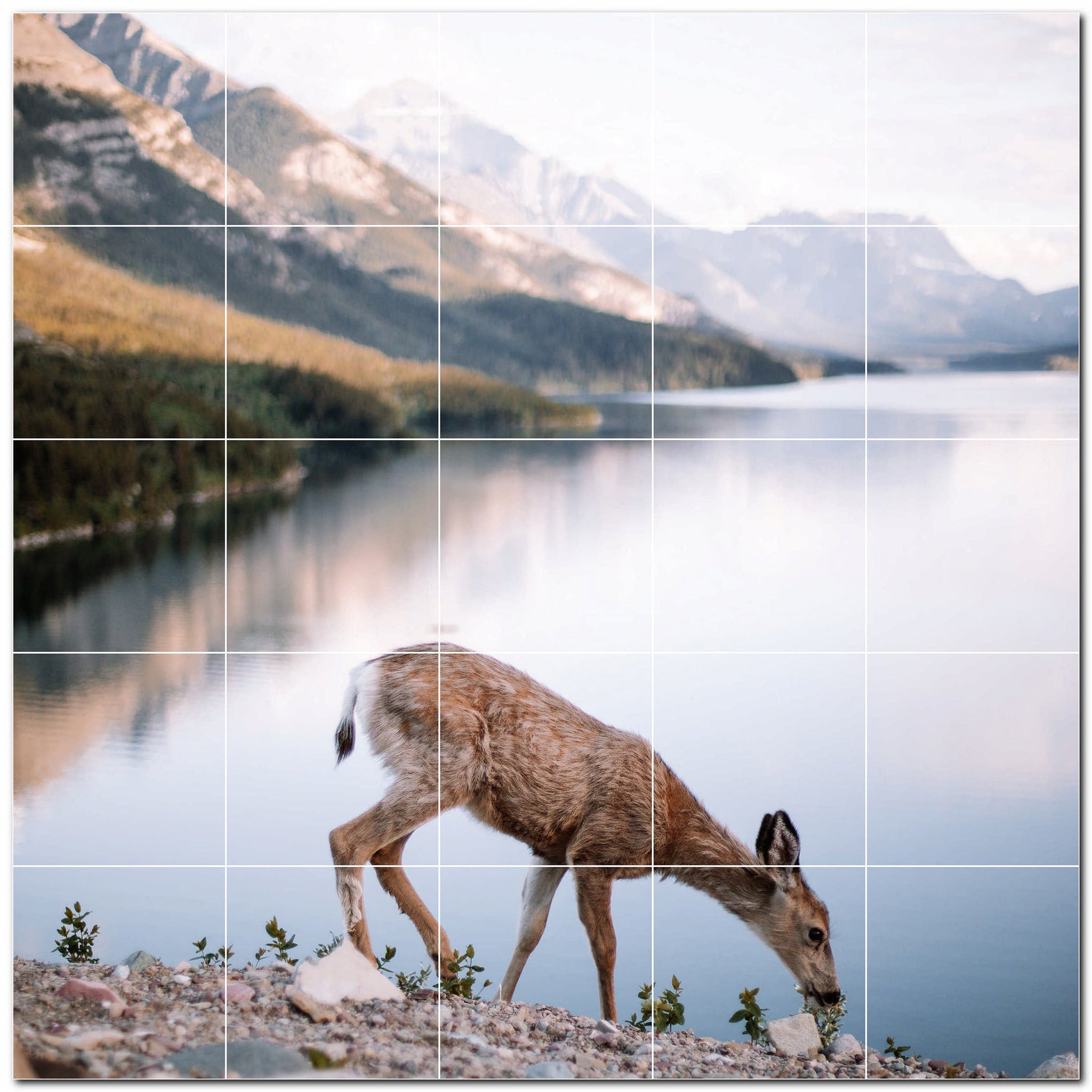 deer ceramic tile wall mural kitchen backsplash bathroom shower p500455