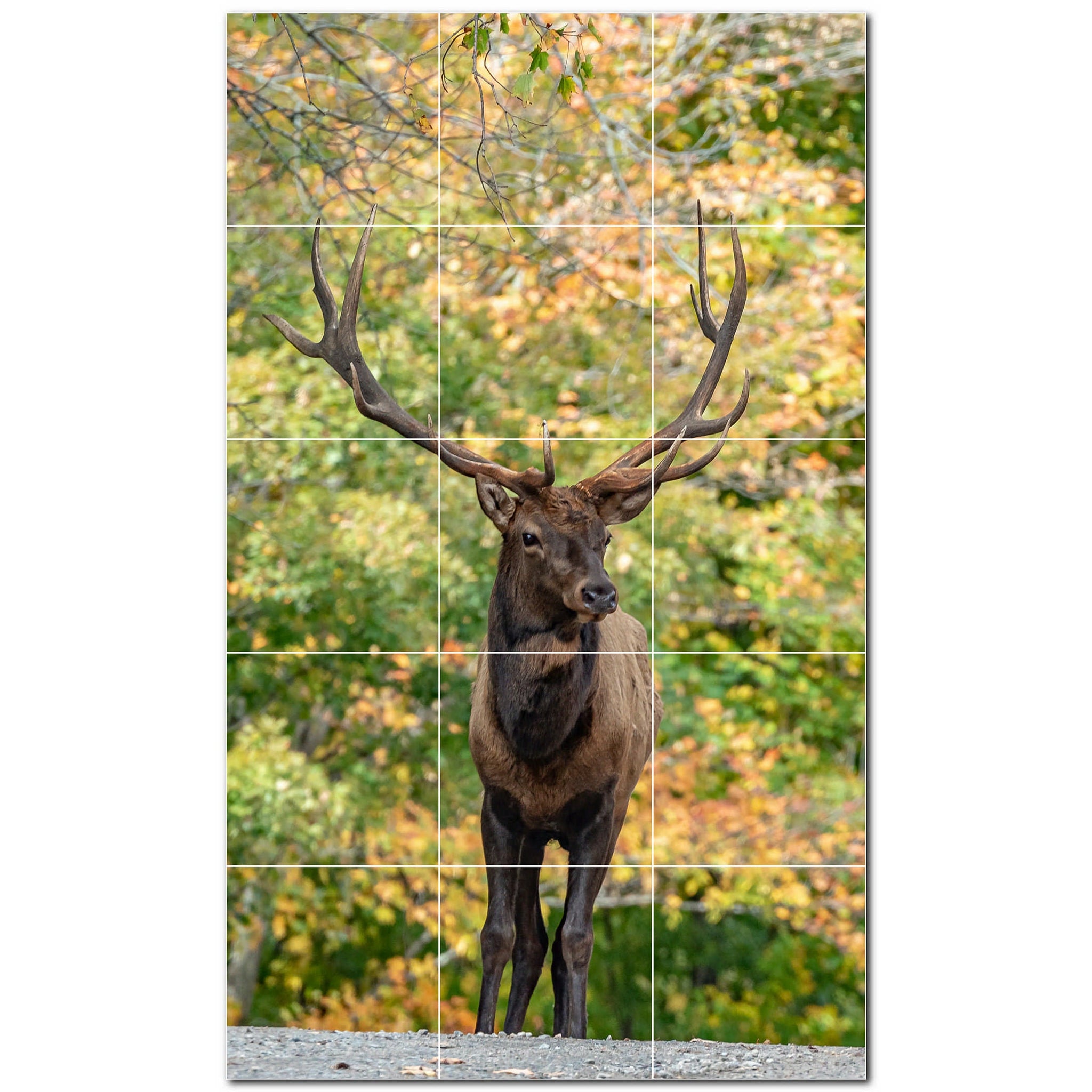 deer ceramic tile wall mural kitchen backsplash bathroom shower p500457