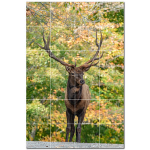 deer ceramic tile wall mural kitchen backsplash bathroom shower p500457