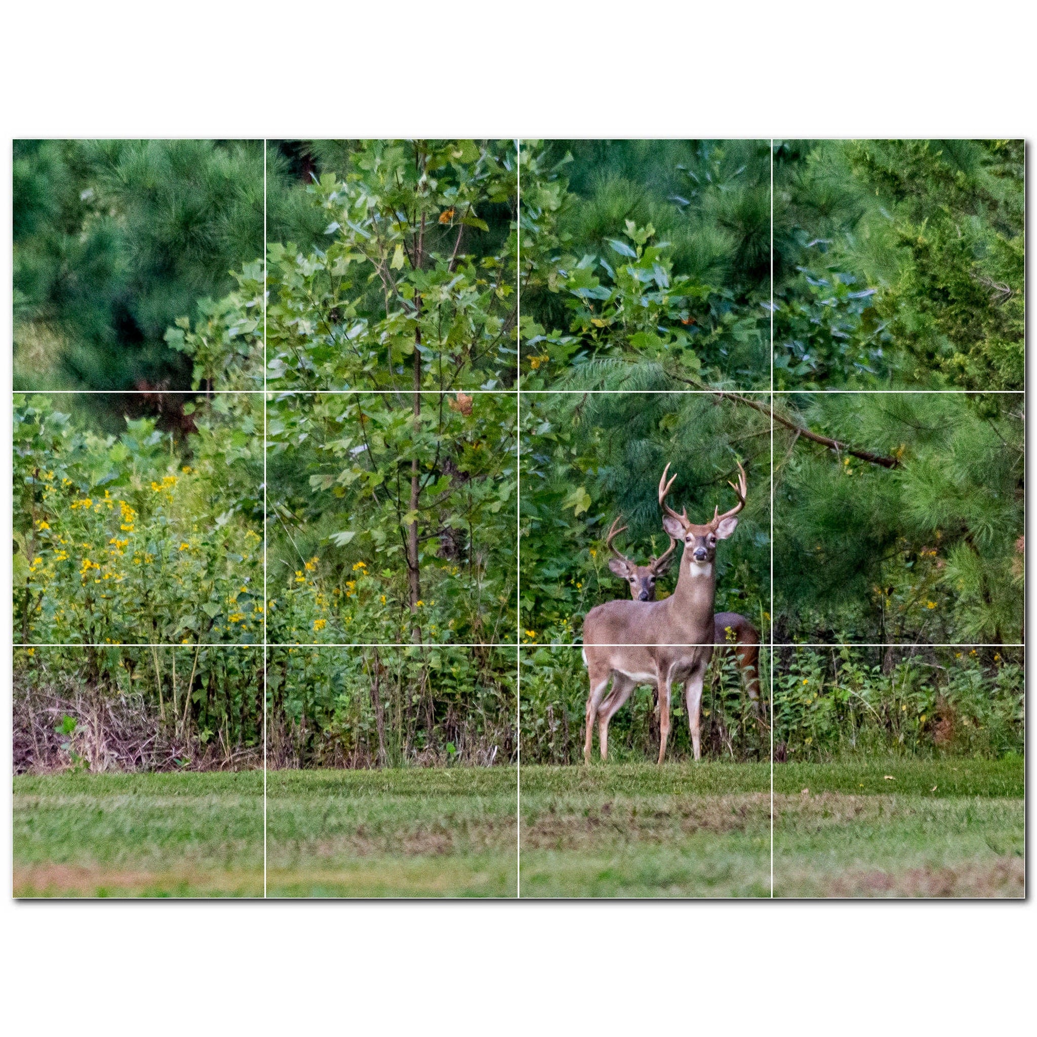 deer ceramic tile wall mural kitchen backsplash bathroom shower p500458