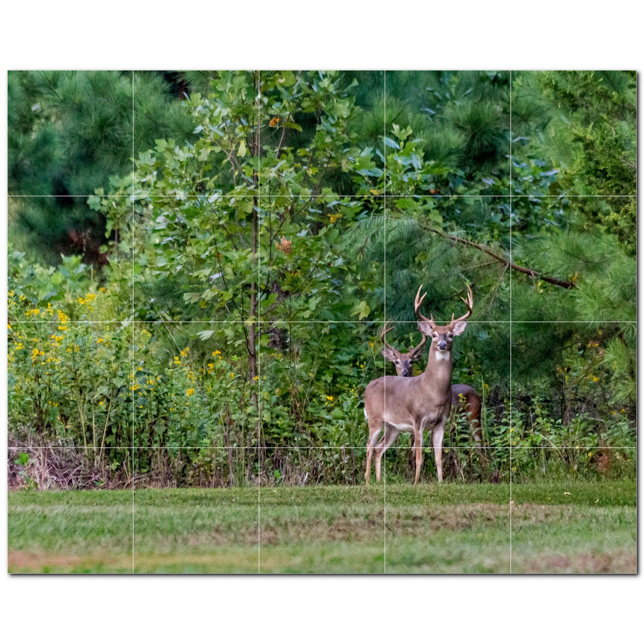 deer ceramic tile wall mural kitchen backsplash bathroom shower p500458