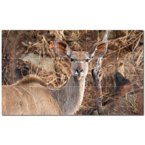 deer ceramic tile wall mural kitchen backsplash bathroom shower p500459