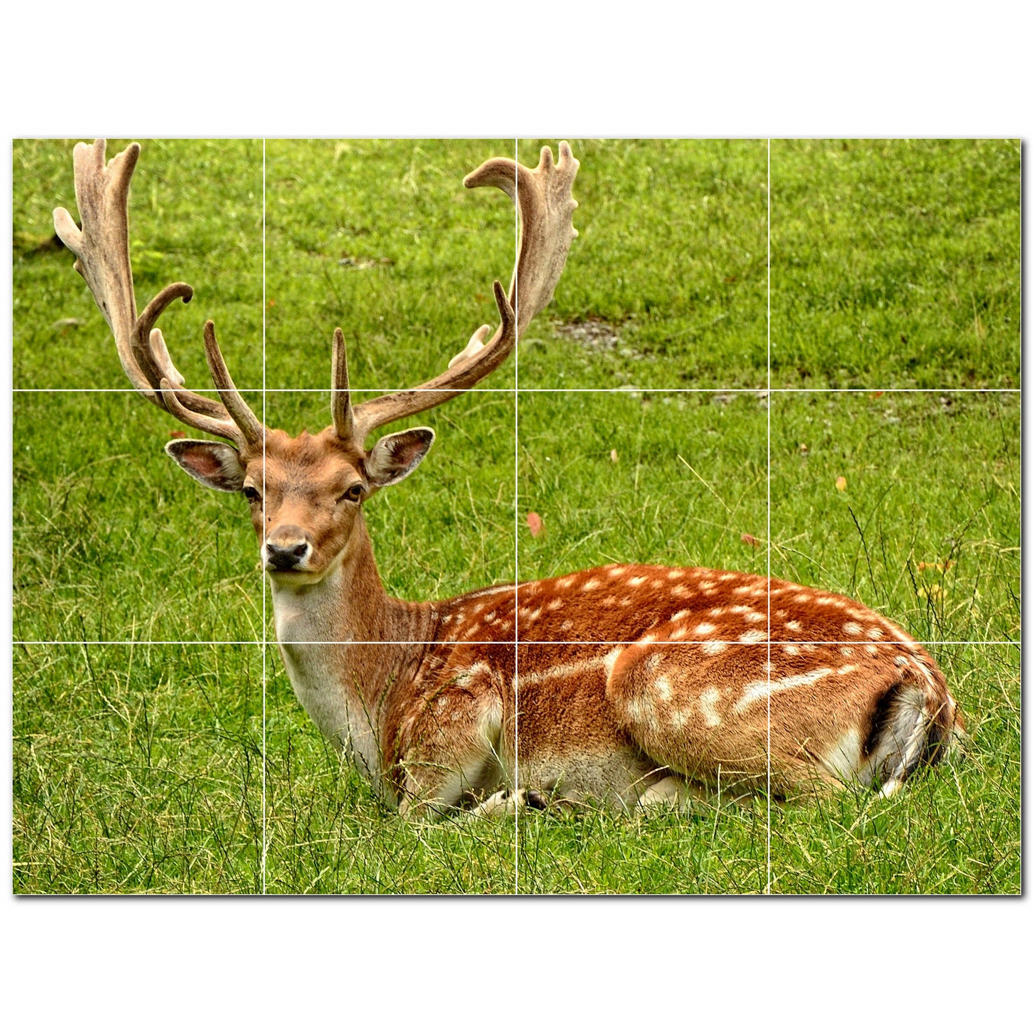 deer ceramic tile wall mural kitchen backsplash bathroom shower p500461