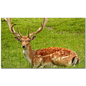 deer ceramic tile wall mural kitchen backsplash bathroom shower p500461