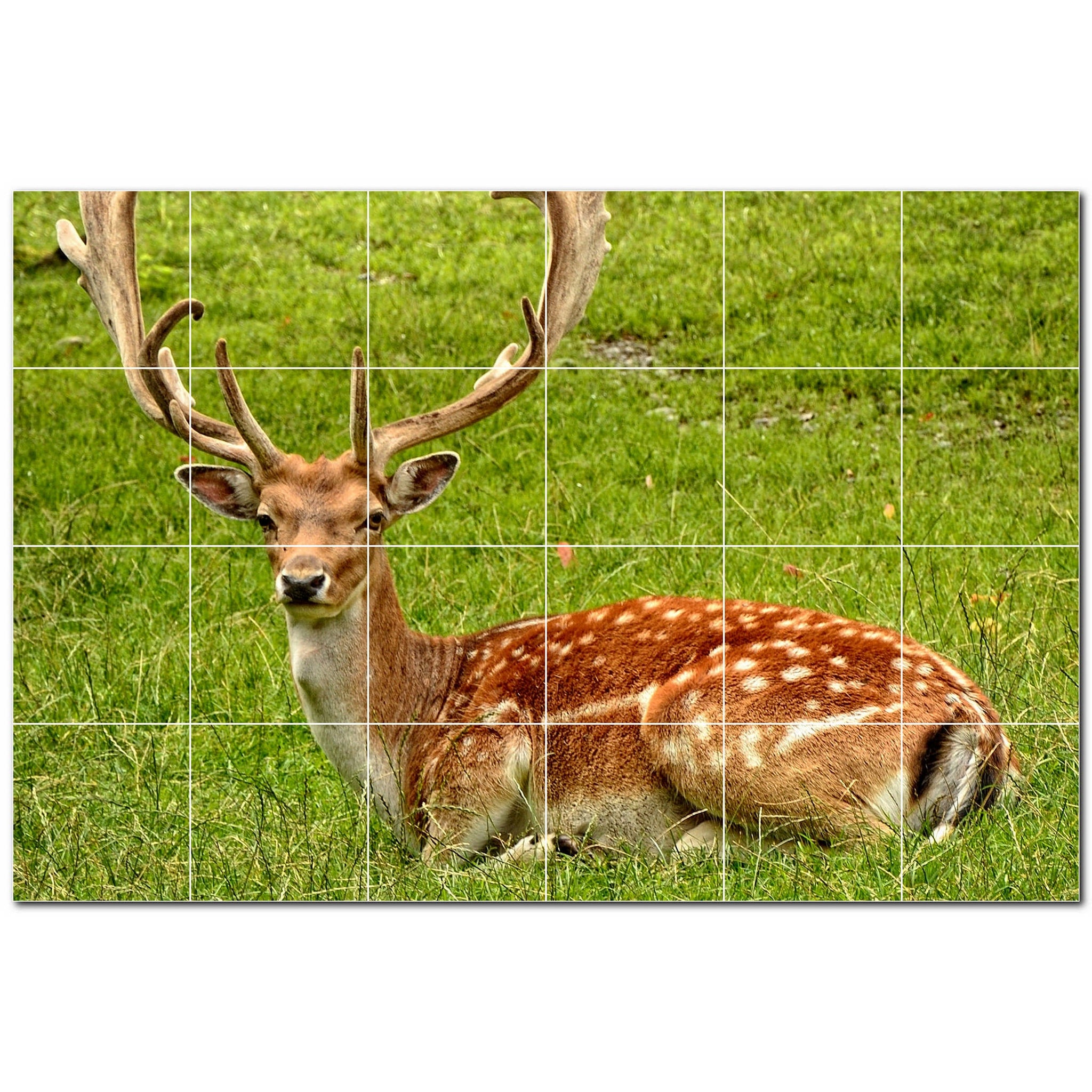 deer ceramic tile wall mural kitchen backsplash bathroom shower p500461