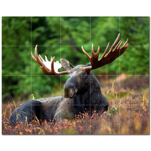 deer ceramic tile wall mural kitchen backsplash bathroom shower p500463