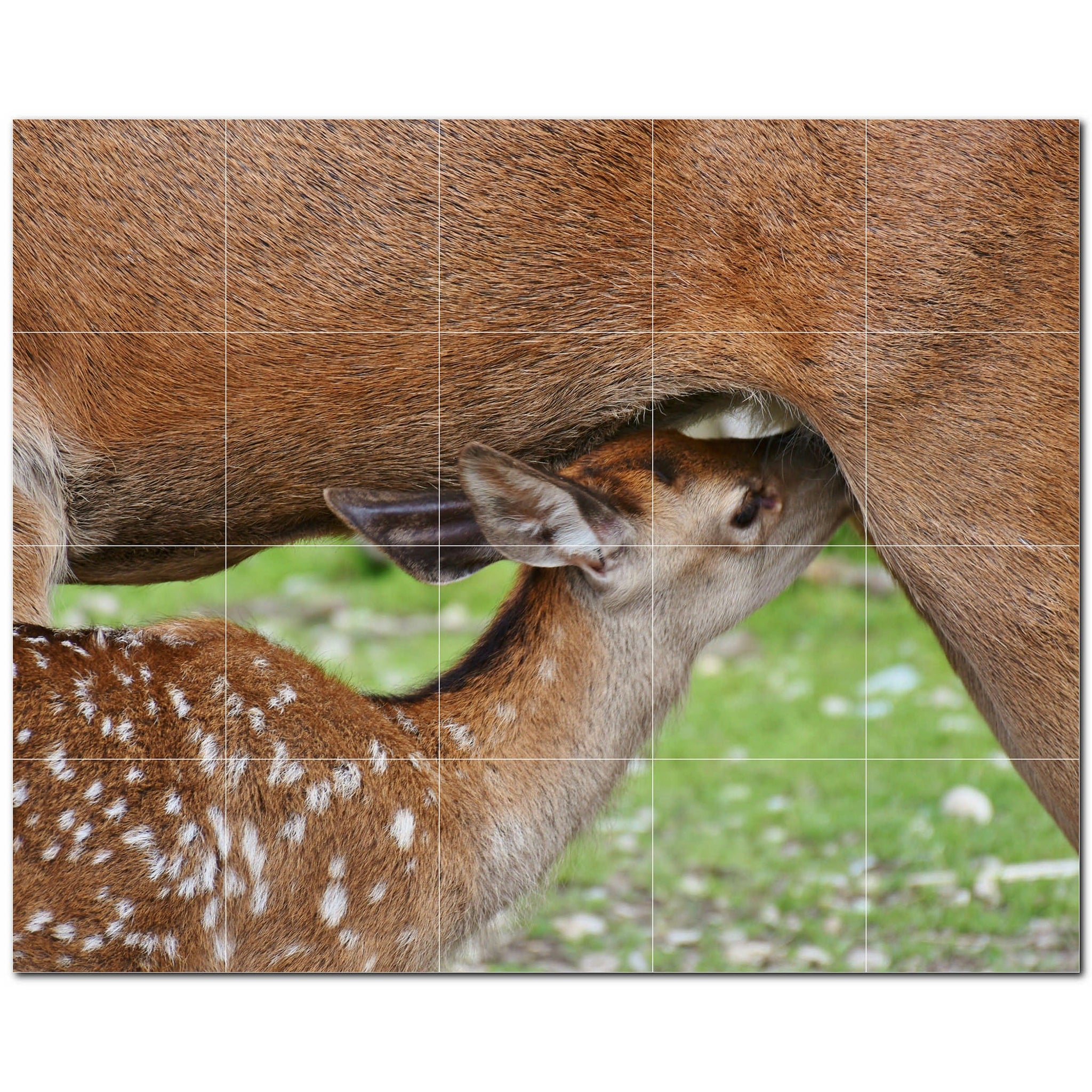 deer ceramic tile wall mural kitchen backsplash bathroom shower p500465