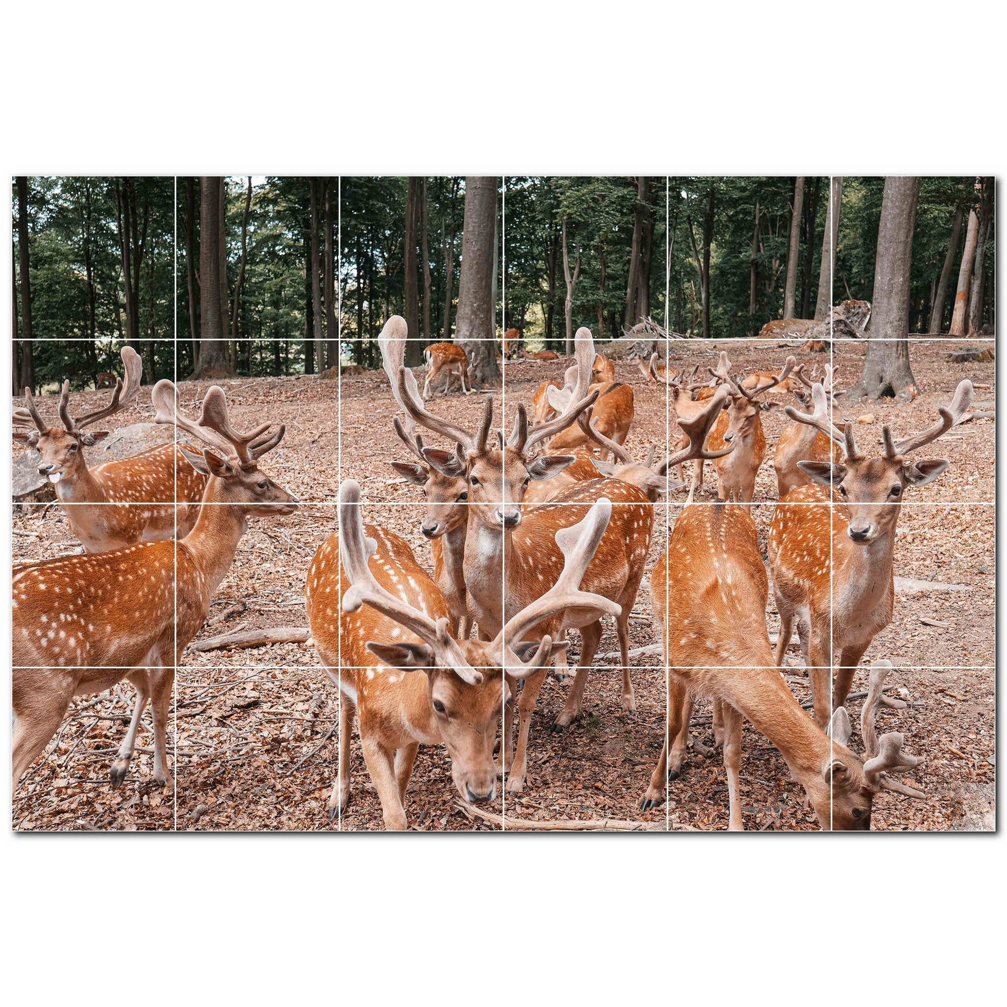 deer ceramic tile wall mural kitchen backsplash bathroom shower p500467