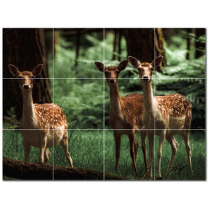 deer ceramic tile wall mural kitchen backsplash bathroom shower p500471