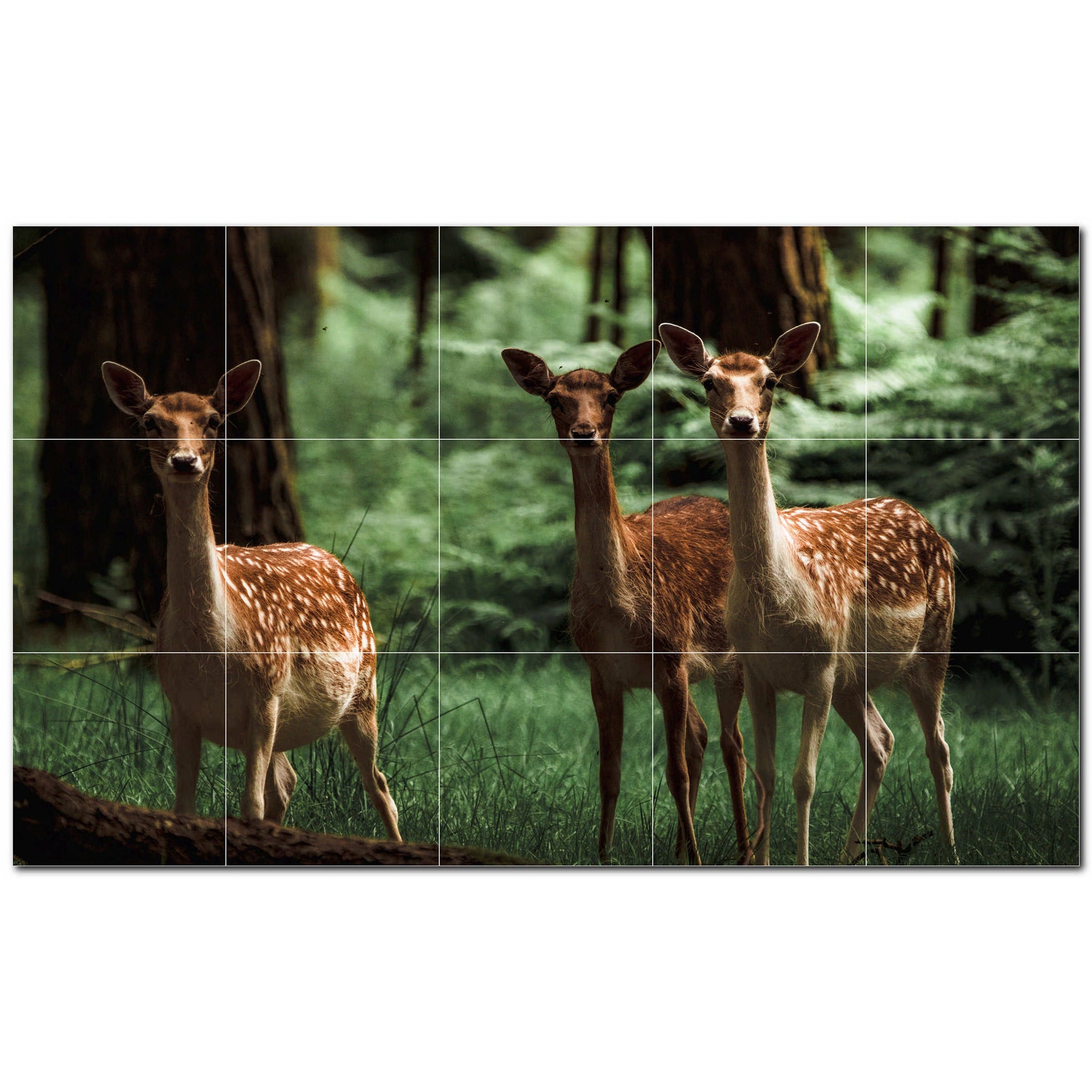 deer ceramic tile wall mural kitchen backsplash bathroom shower p500471