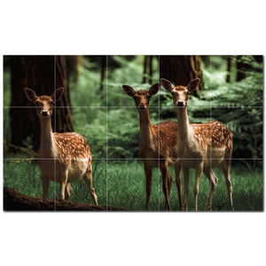 deer ceramic tile wall mural kitchen backsplash bathroom shower p500471