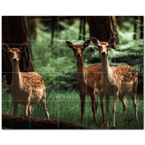 deer ceramic tile wall mural kitchen backsplash bathroom shower p500471