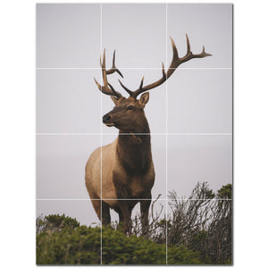 deer ceramic tile wall mural kitchen backsplash bathroom shower p500472