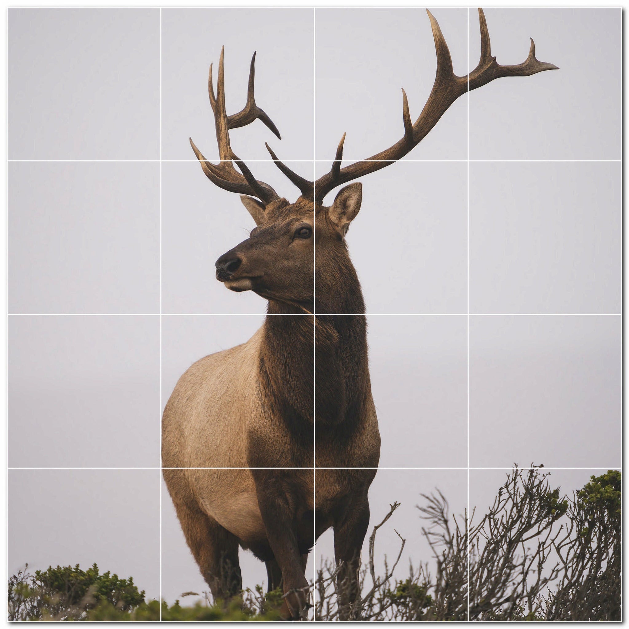 deer ceramic tile wall mural kitchen backsplash bathroom shower p500472