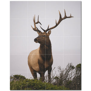 deer ceramic tile wall mural kitchen backsplash bathroom shower p500472