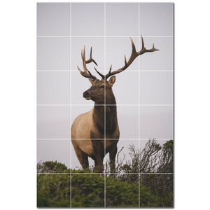 deer ceramic tile wall mural kitchen backsplash bathroom shower p500472