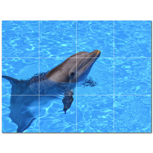 dolphin ceramic tile wall mural kitchen backsplash bathroom shower p500495