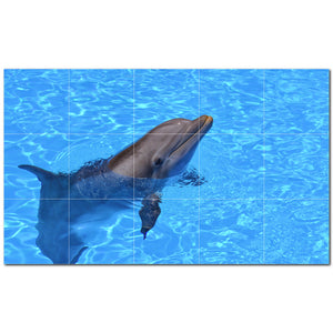 dolphin ceramic tile wall mural kitchen backsplash bathroom shower p500495