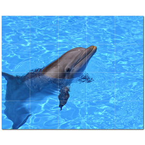 dolphin ceramic tile wall mural kitchen backsplash bathroom shower p500495