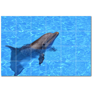 dolphin ceramic tile wall mural kitchen backsplash bathroom shower p500495