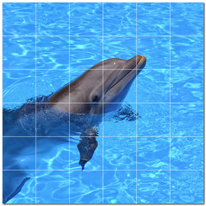 dolphin ceramic tile wall mural kitchen backsplash bathroom shower p500495