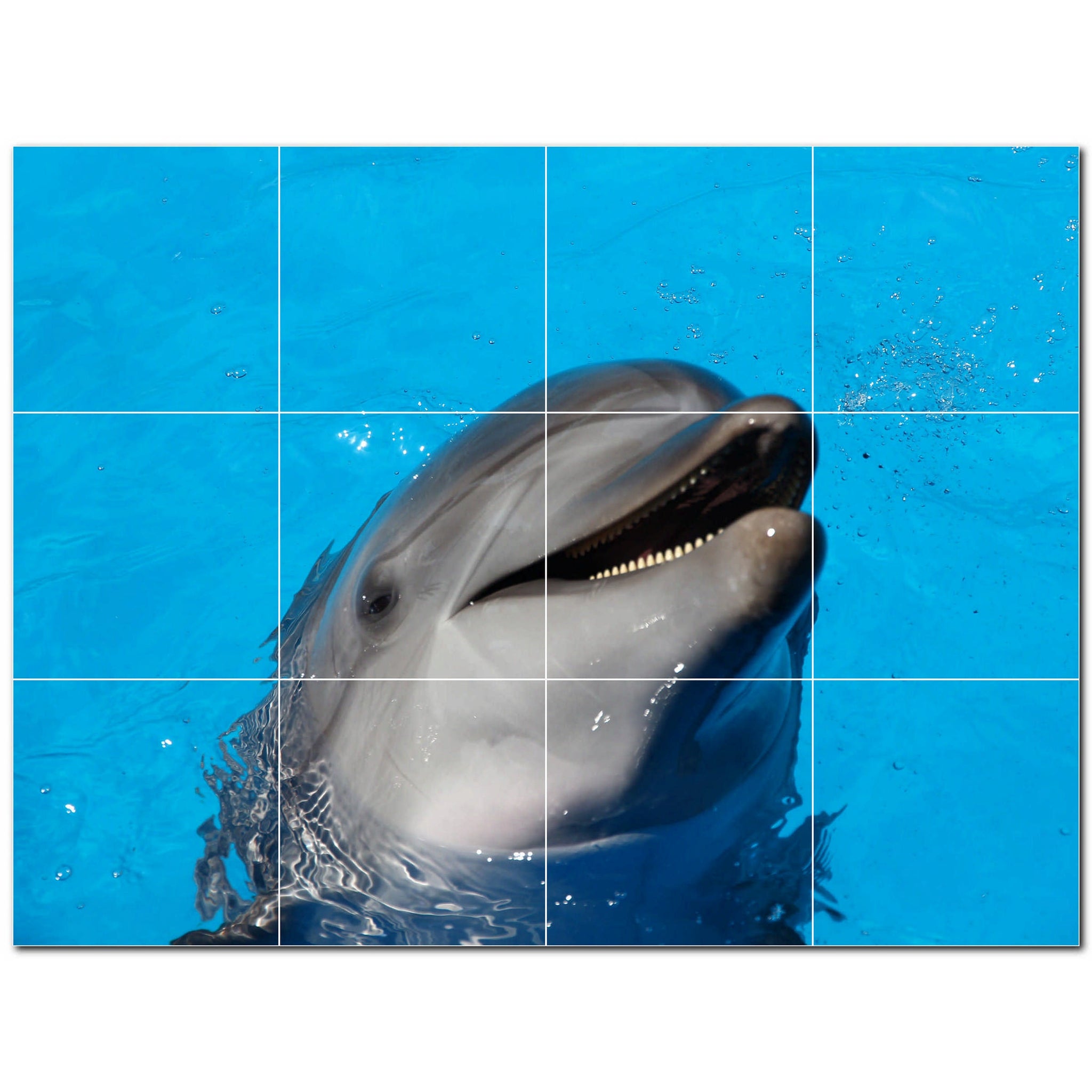 dolphin ceramic tile wall mural kitchen backsplash bathroom shower p500496