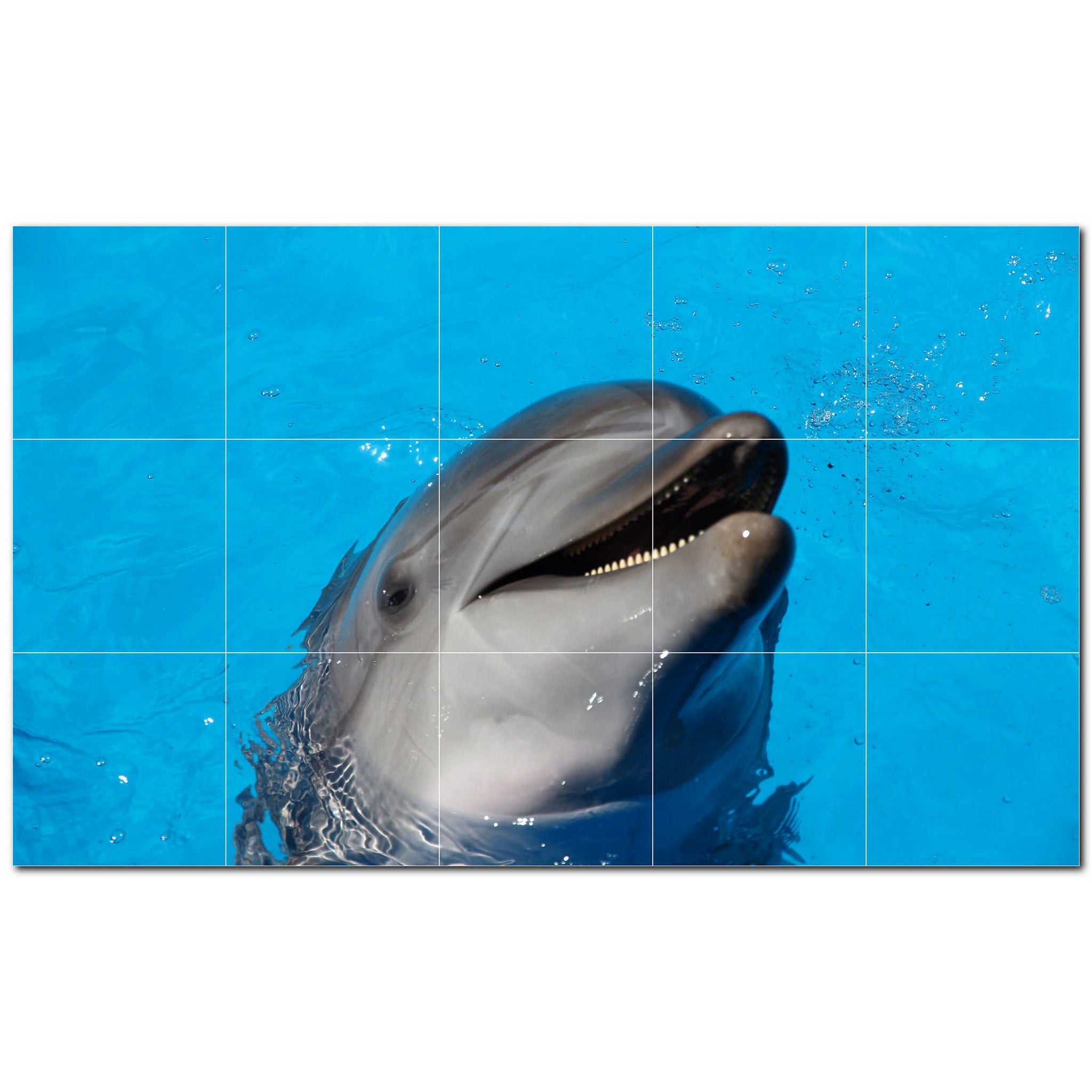 dolphin ceramic tile wall mural kitchen backsplash bathroom shower p500496