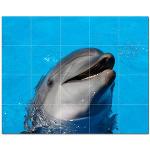 dolphin ceramic tile wall mural kitchen backsplash bathroom shower p500496