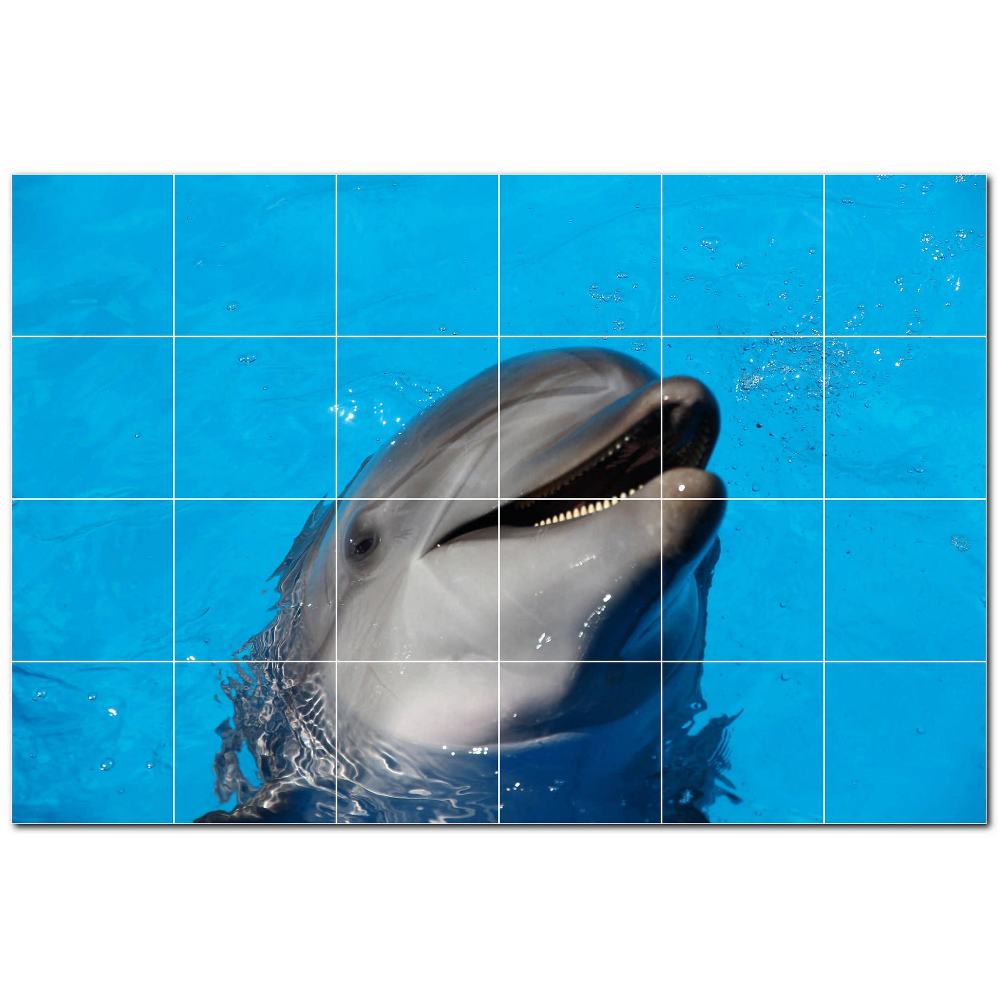 dolphin ceramic tile wall mural kitchen backsplash bathroom shower p500496