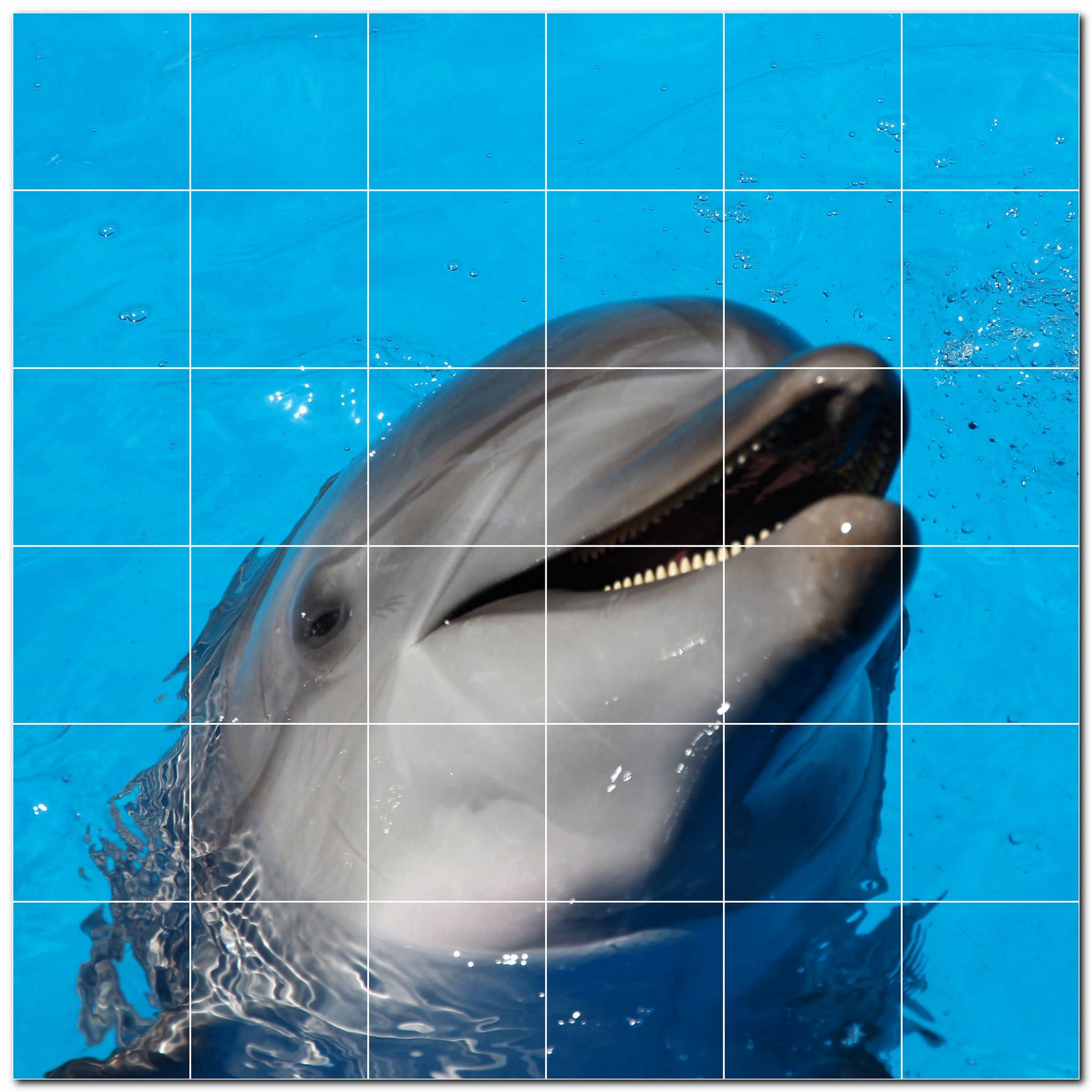 dolphin ceramic tile wall mural kitchen backsplash bathroom shower p500496