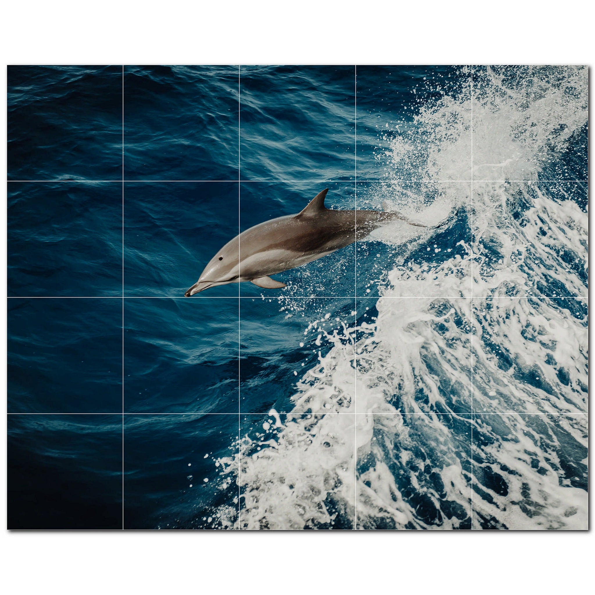 dolphin ceramic tile wall mural kitchen backsplash bathroom shower p500497