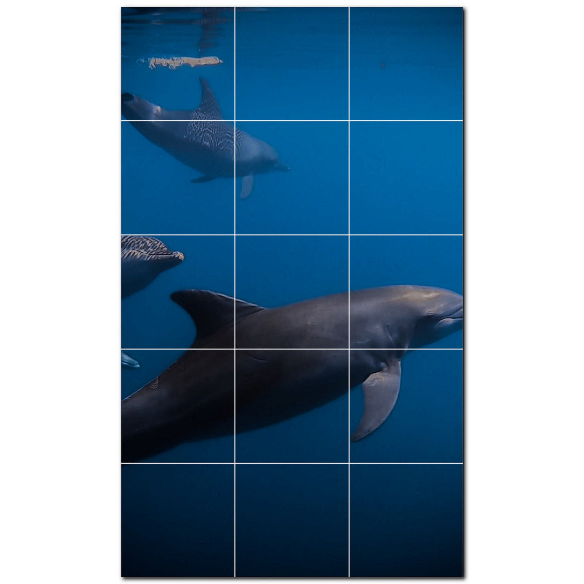 dolphin ceramic tile wall mural kitchen backsplash bathroom shower p500498