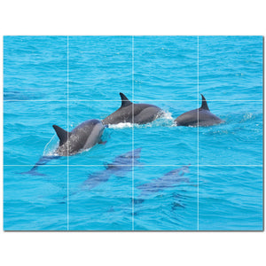 dolphin ceramic tile wall mural kitchen backsplash bathroom shower p500499