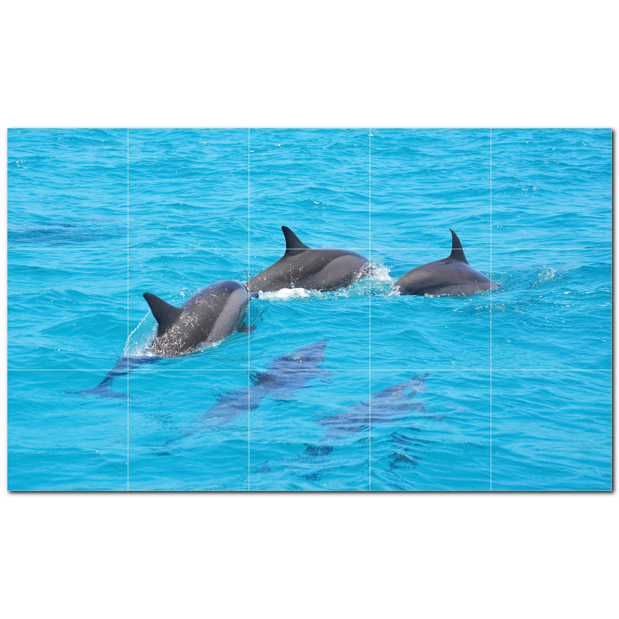 dolphin ceramic tile wall mural kitchen backsplash bathroom shower p500499