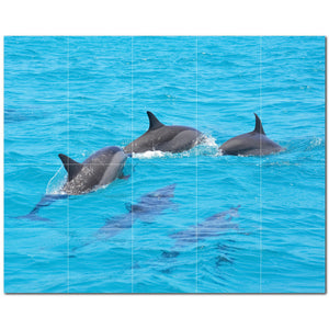 dolphin ceramic tile wall mural kitchen backsplash bathroom shower p500499