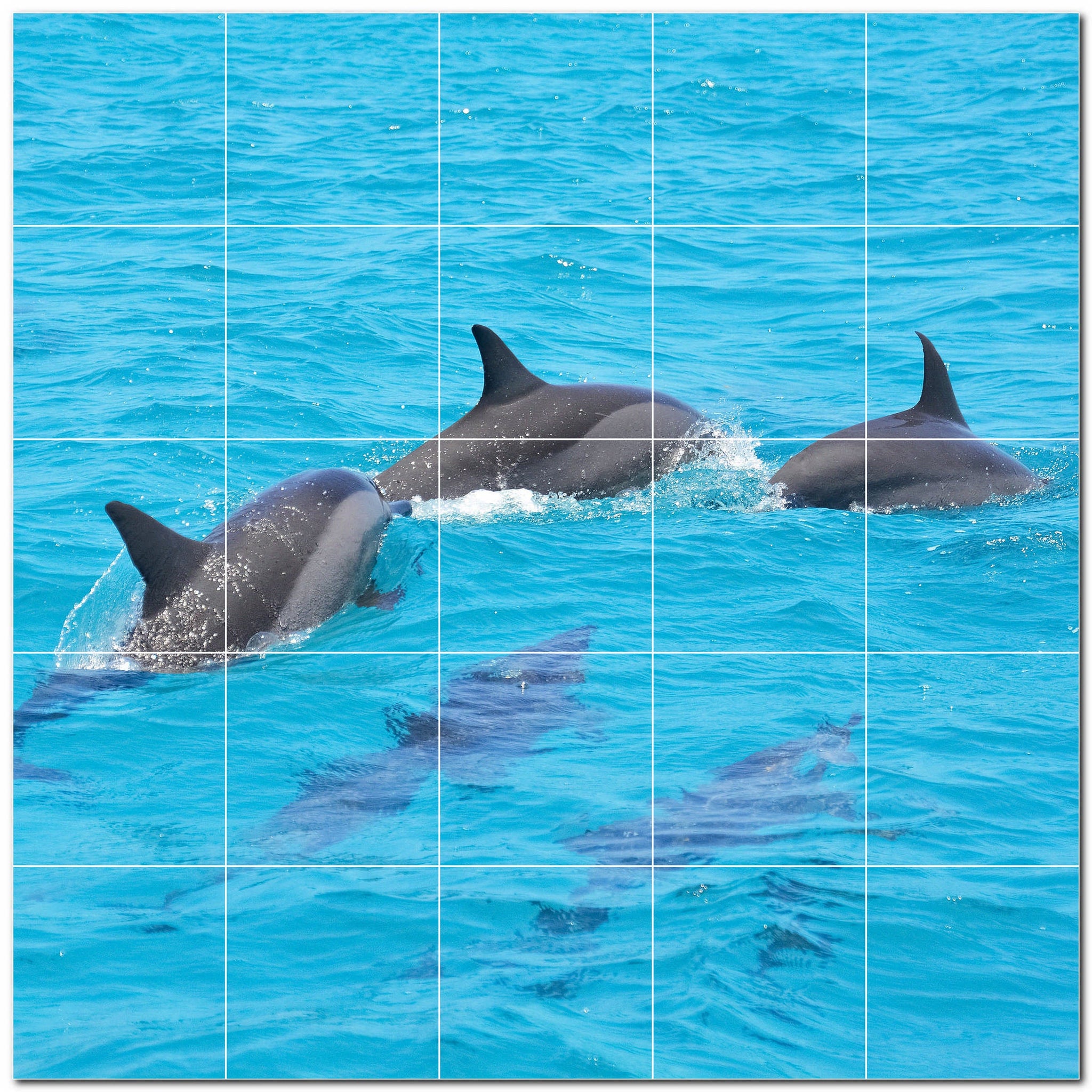 dolphin ceramic tile wall mural kitchen backsplash bathroom shower p500499