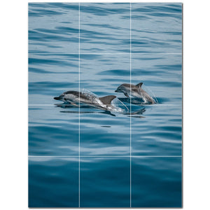 dolphin ceramic tile wall mural kitchen backsplash bathroom shower p500500