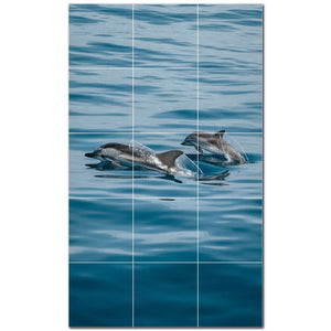 dolphin ceramic tile wall mural kitchen backsplash bathroom shower p500500