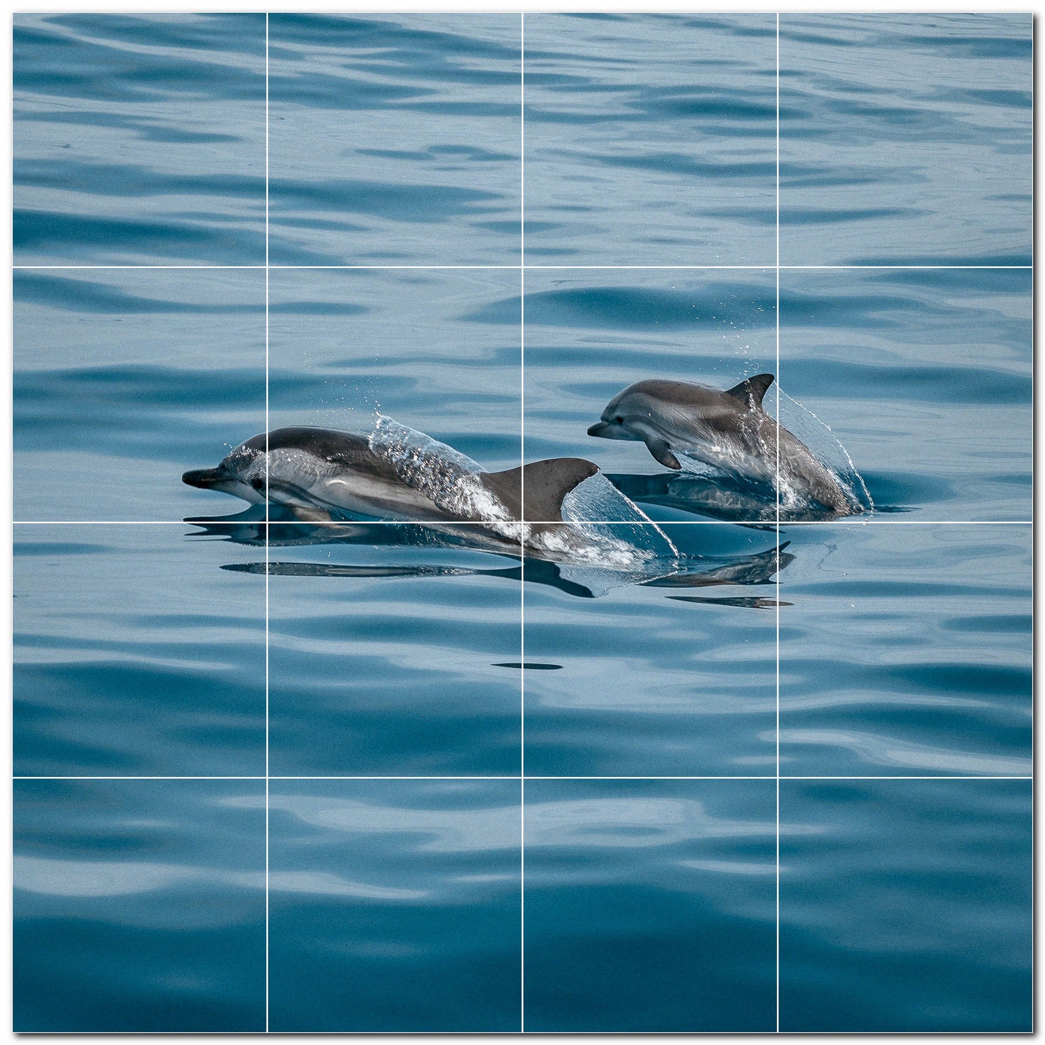 dolphin ceramic tile wall mural kitchen backsplash bathroom shower p500500