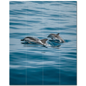 dolphin ceramic tile wall mural kitchen backsplash bathroom shower p500500