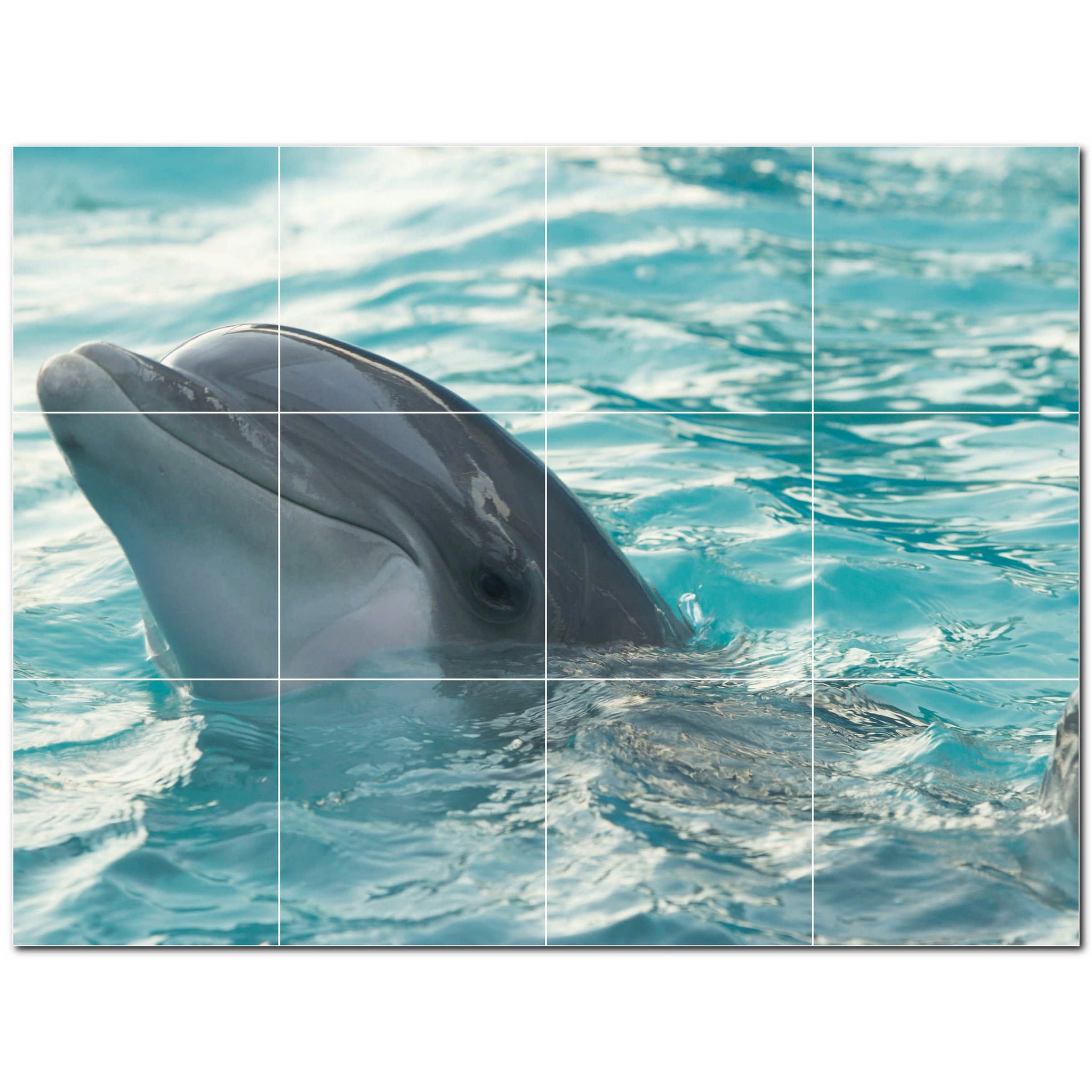 dolphin ceramic tile wall mural kitchen backsplash bathroom shower p500501