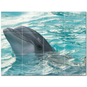 dolphin ceramic tile wall mural kitchen backsplash bathroom shower p500501