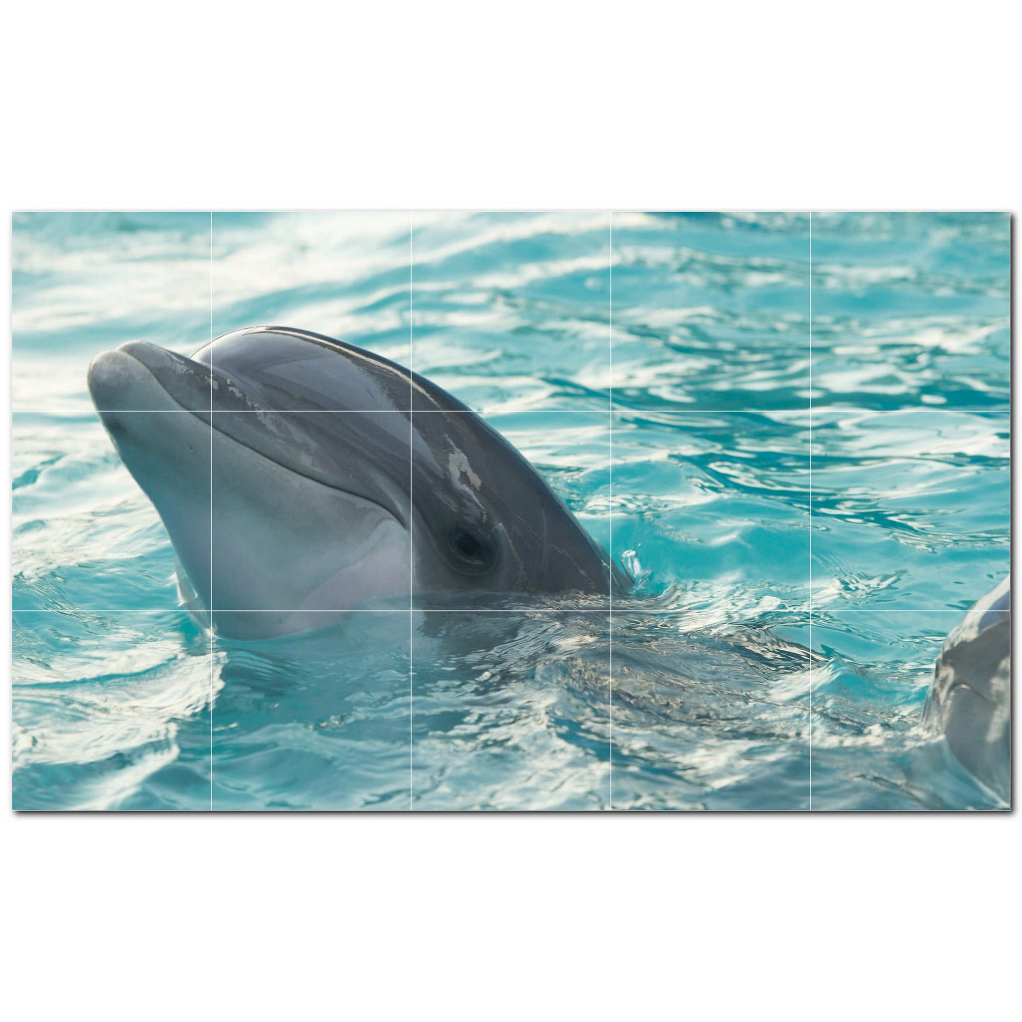 dolphin ceramic tile wall mural kitchen backsplash bathroom shower p500501