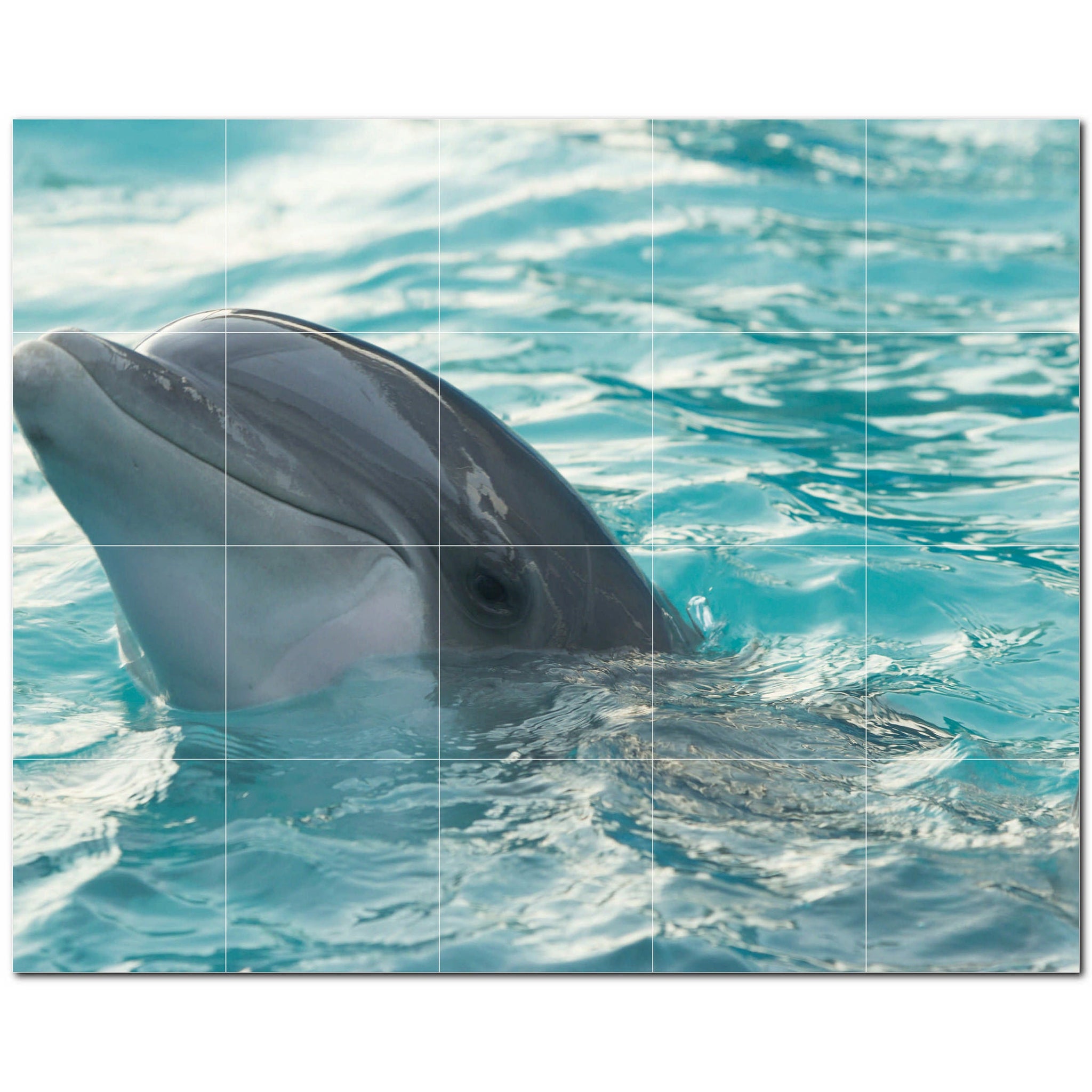 dolphin ceramic tile wall mural kitchen backsplash bathroom shower p500501