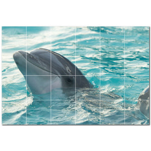 dolphin ceramic tile wall mural kitchen backsplash bathroom shower p500501