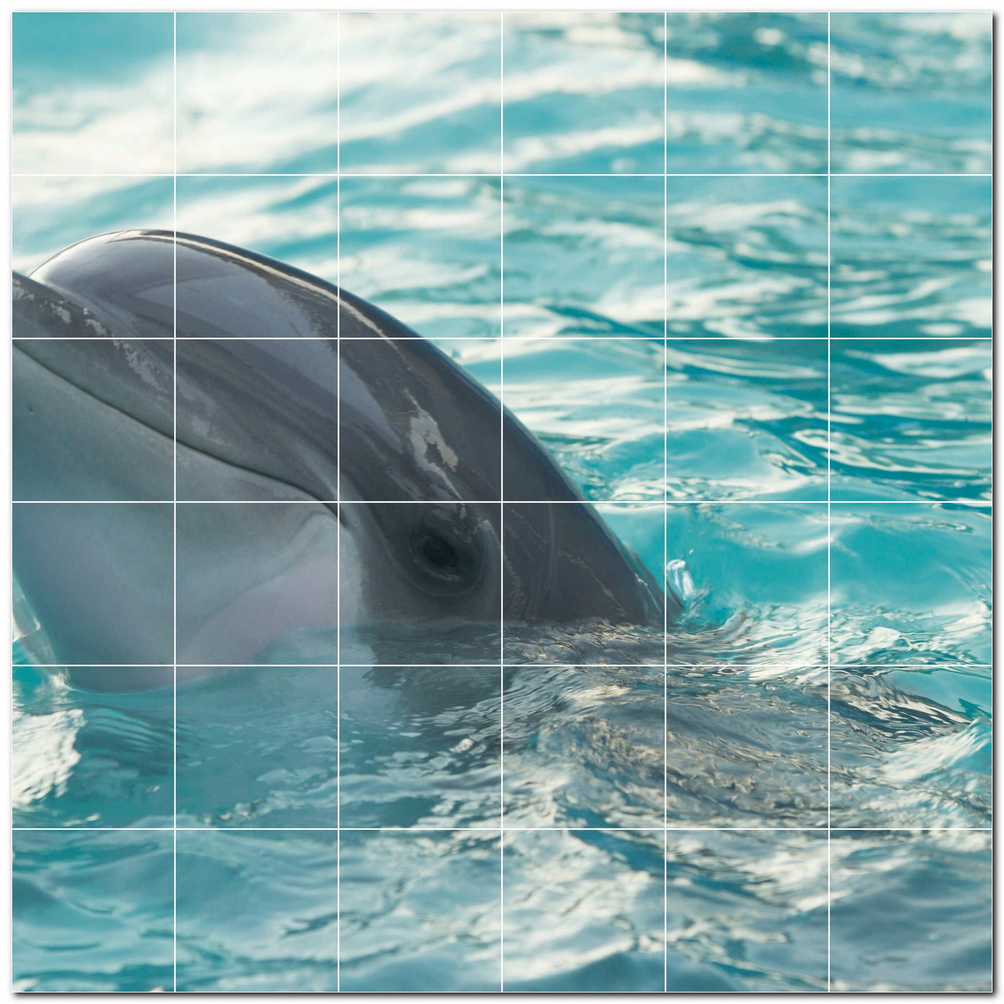 dolphin ceramic tile wall mural kitchen backsplash bathroom shower p500501